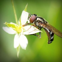 /album/medio-ambiente-/photolia-a02-jpg/