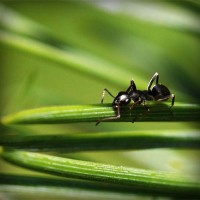 /album/medio-ambiente-/photolia-a05-jpg/