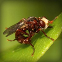 /album/medio-ambiente-/photolia-a06-jpg/
