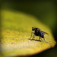 /album/medio-ambiente-/photolia-a07-jpg/