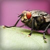 /album/medio-ambiente-/photolia-a08-jpg/