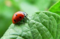 /album/medio-ambiente-/medio-ambiente-300x195-jpg1/