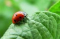 /album/fotogaleria-inicio1/medio-ambiente-300x195-jpg/