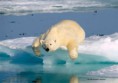 /album/fotogaleria-inicio1/meltingice2op7-jpg/