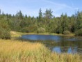 /album/fotogaleria-inicio1/swamp-lake-balarus-jpg/