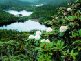 /album/fotogaleria-inicio/environment-asia-jpg/